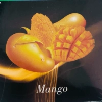 VG50 грамм манго