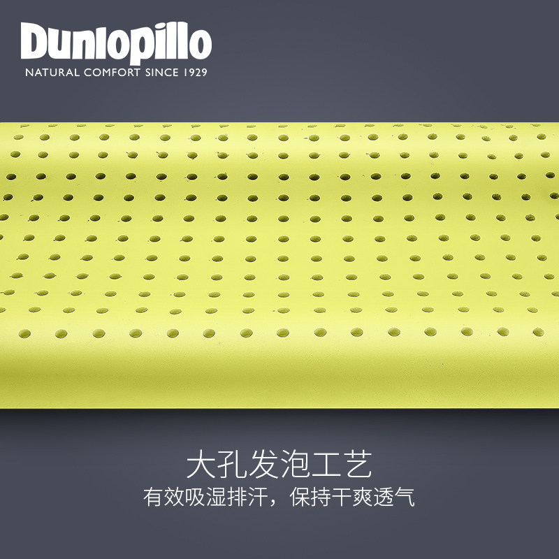 ��»�ջ�����ͷ 310516619250001281