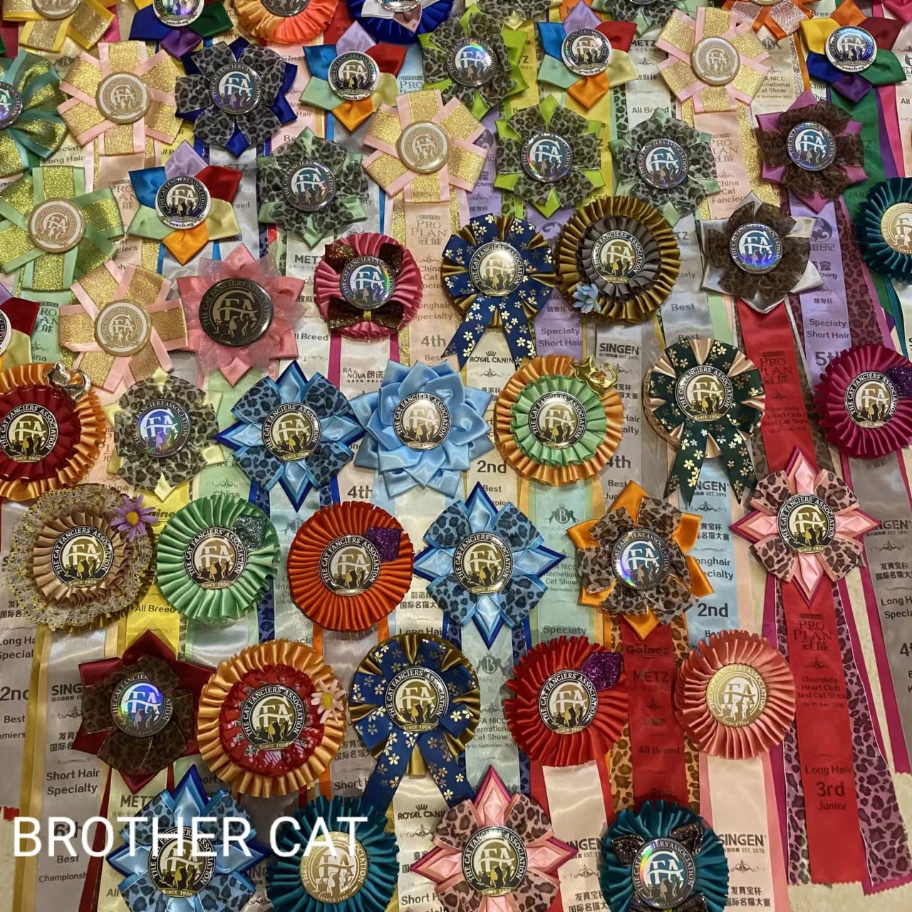 🐾让你的猫咪闪耀全场！猫咪奖花 猫舍猫咖宠物店装饰奖花宠物奖花ice wcf cfa猫比赛奖花，到底有多好？💫-宠物相册明信片等周边-淘宝好物网