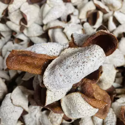 Dingxiong factory direct sales 2020 Xinhui Meijiang circle branch big red skin 9 years old tree Tianma tangerine peel Guangdong Guangdong