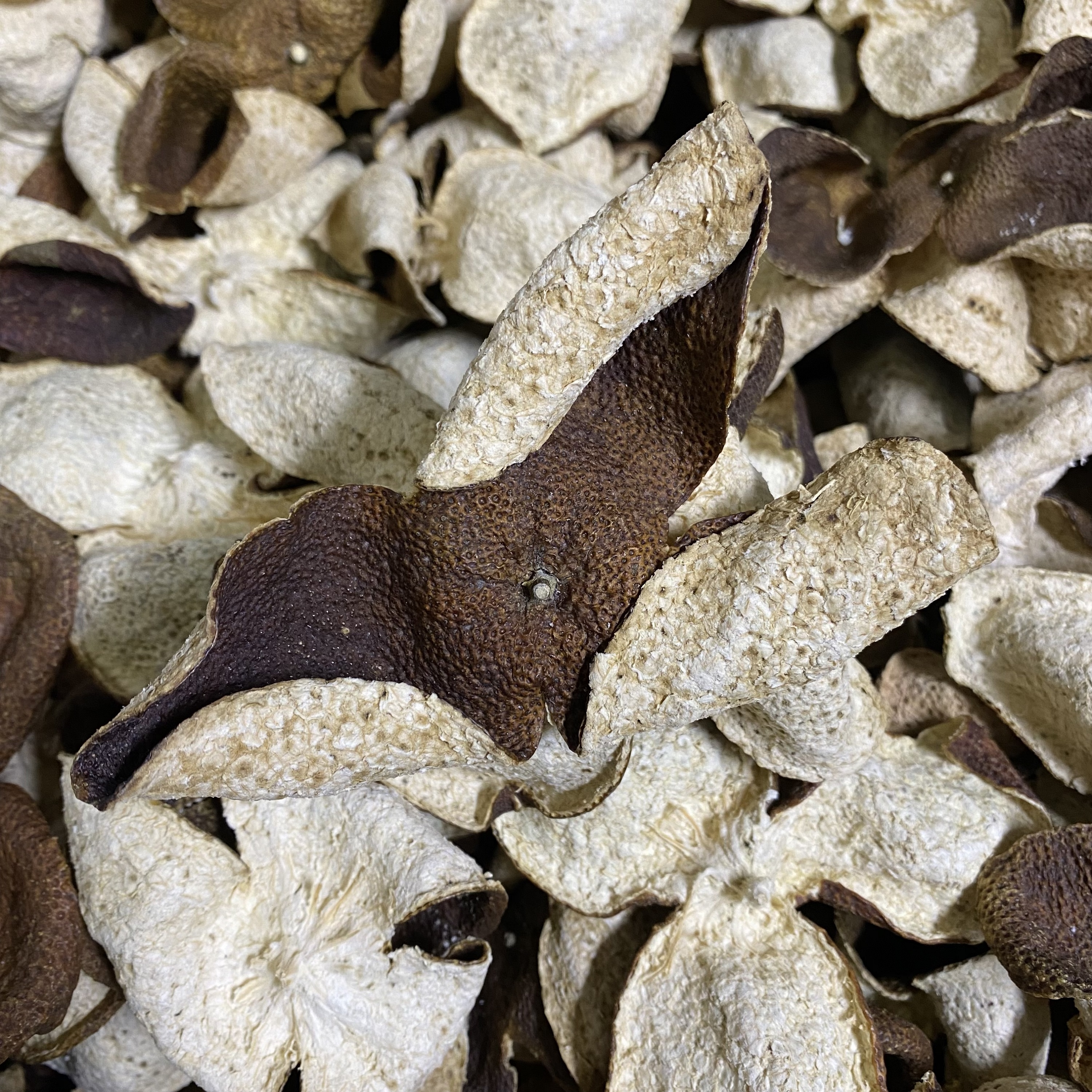 Dingxiong manufacturer direct sales 2018 New will Meijiang ring branch big red orange peel for four years Chen dry warehouse to store tea