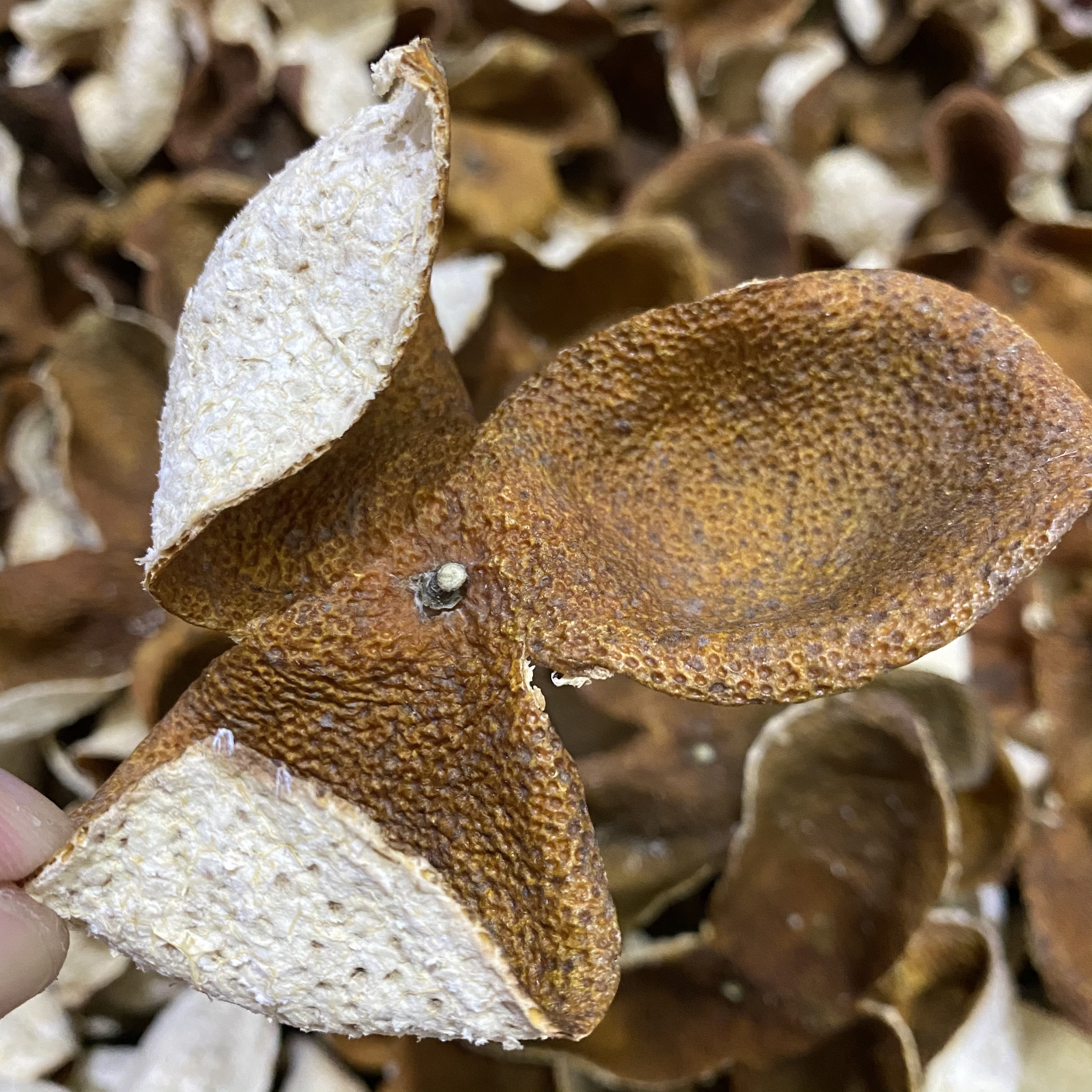 Dingxiong manufacturer direct sales 2020 New will Meijiang ring branch II red leather 9 years old tree heathen dried orange peel mandarin orange peel Guangdong