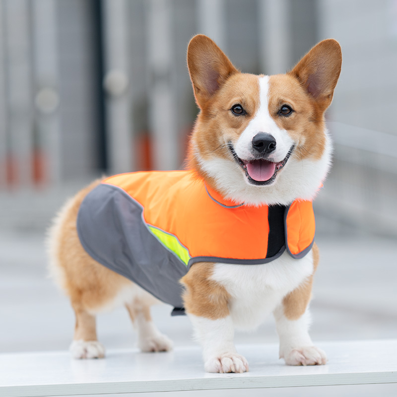 Dogs clothes Pets Pet teddy kirkefa Dogs small large dogs Bio Autumn Winter Clothing with Boo Thickened Necroe-Taobao