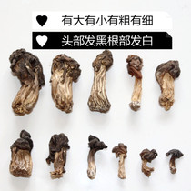 Alshan black fungus mushroom 500g Xinganling wild non Changbai Mountain origin delivery drying natural dry