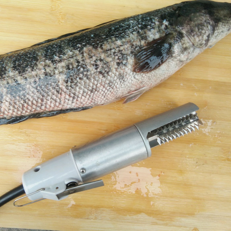 Electric fish scale scraping machine fully automatic fish killing artifact to remove fish scale tool knife 12V shaving fish scale Lin planer brush