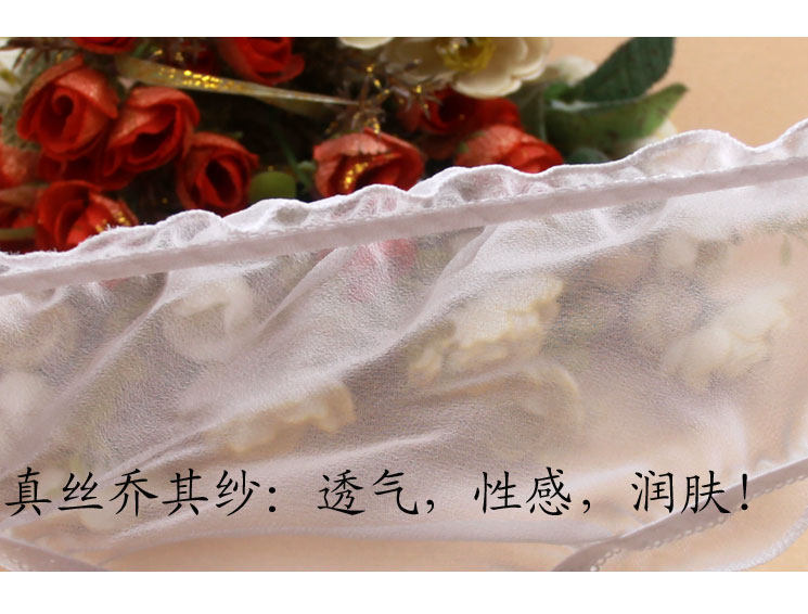 Slip jeunesse qqs-hb en soie - Ref 643069 Image 15