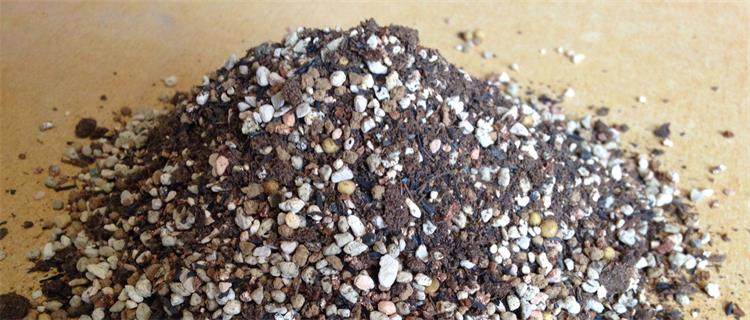 經驗 不同品種花卉培養土的配製方法 淘寶海外