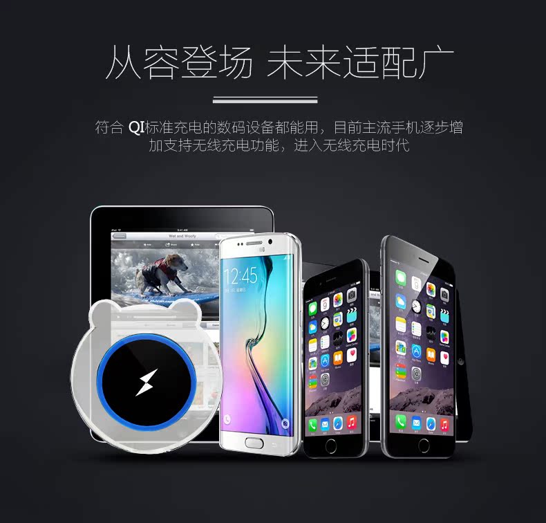 chargeur - Ref 1291343 Image 17
