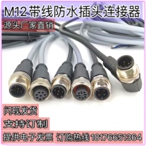 M12 connector waterproof aviation joint single double head injection moulding 4 core 5 core 8 core 12 core male head sensor with wire