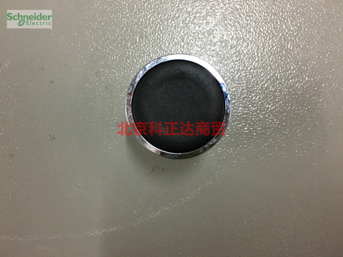 Schneider XB2 button head ZB2-BA2C metal self-reset flat head green button head ZB2BA2C black