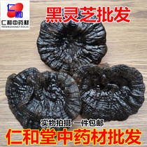 Jilin Changbai Mountain purple ganoderma black ganoderma red ganoderma red ganoderma wine-soaked ganoderma with flat cover can be distributed on behalf of others