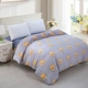 Tấm vải flannel dày bao gồm một mảnh mùa đông san hô chăn che đôi đơn sang trọng ấm áp đôi sinh viên giá chăn điện hàn quốc