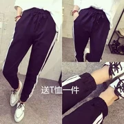 Mùa thu và mùa đông Sinh viên Hàn Quốc ba thanh quần thể thao nữ chân mỏng phần quần lỏng quần dài quần mỏng quần harem giản dị