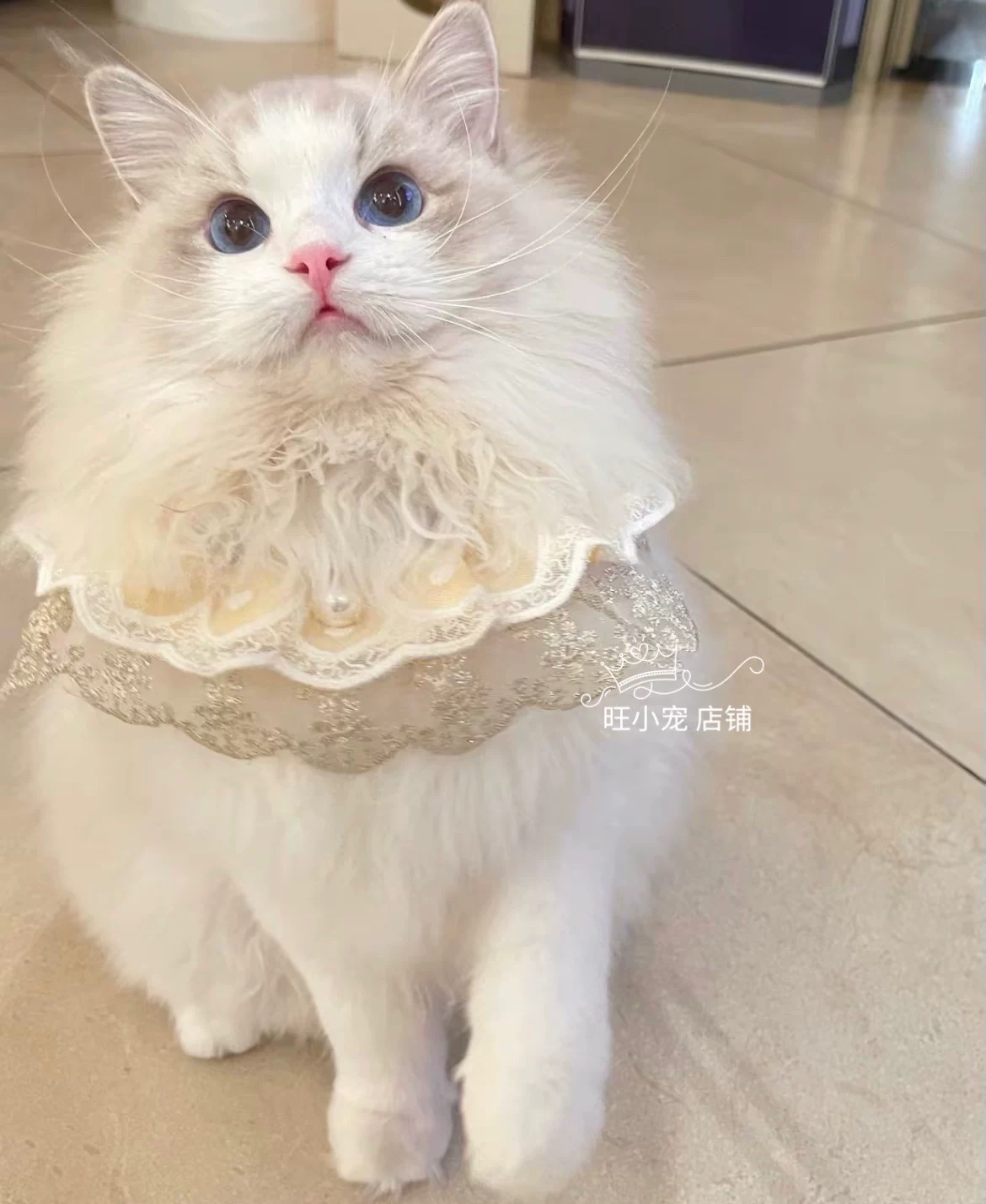 Кормовая салфетка? Wait. Need accurate: "Eating bib, lace scarf, decorations"