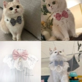 Шарф, галстук-бабочка, чокер, нагрудник, трикотажный слюнявчик, милый декор