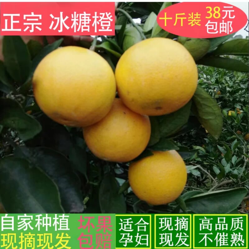 鲜果多多果园产地直发的LOGO
