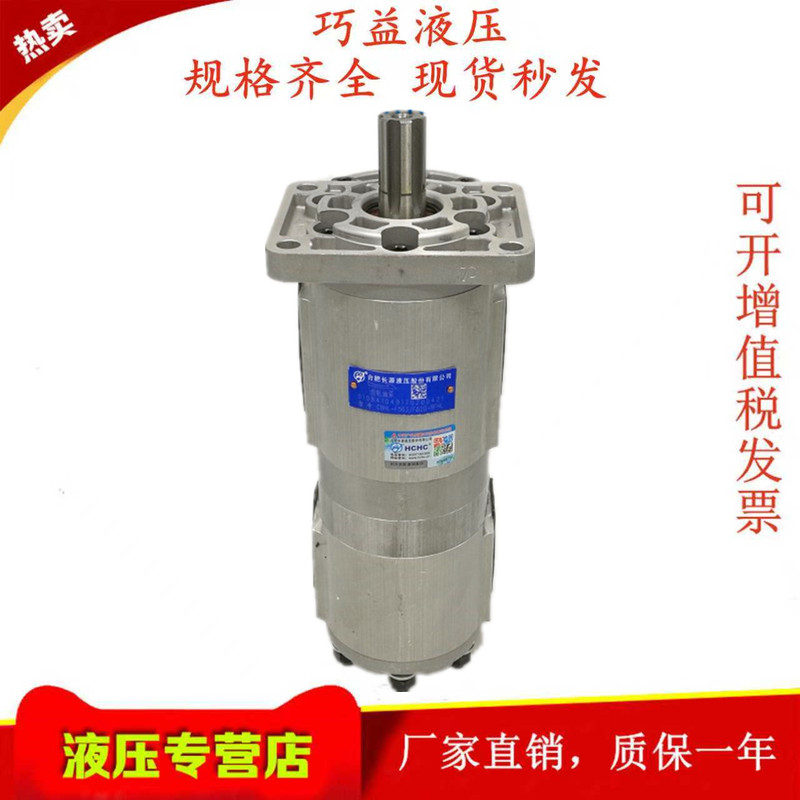 Hchc Hefei Changyuan Hydraulic Cbnl-F563/550/40/32/25/20/16/10-Bfh/Pl Gear Pump Hchc Hefei Changyuan Hydraulic Cbnl-F563/550/40/32/25/20/16/10-Bfh/Pl Gear Pump