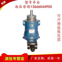 Start Dongqi liquid 10 16 25 32 40 63 80 100 160 250YCY14-1B axial piston pump