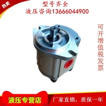 Taiwan KOMPASS Conbathyme P216RP P216RP P222R P225RP P233RP01DT P233RP01DT gear pump