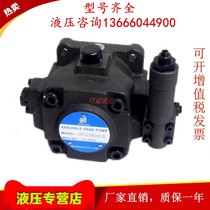 Northern fine machine Northman hydraulic oil pump HVPVC-F20 30 40-A4-02 high pressure variable vane pump