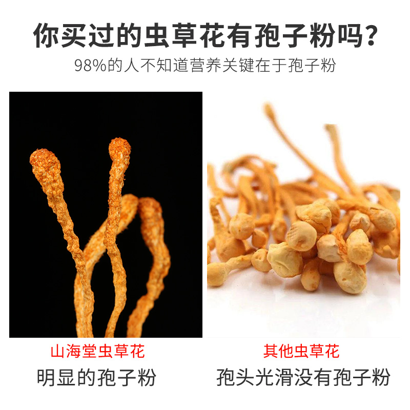 山海堂有机虫草花：奶香大孢头新会蛹虫草，煲汤必备的滋补神器！