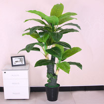 Fake tree simulation plant Canna indoor living room floor-to-ceiling decoration large leaf green plant bonsai potted plant ornaments evergreen