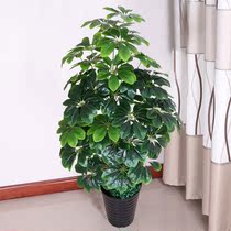 Fake tree Fake tree fake flower indoor living room floor decoration simulation green plant potted plastic simulation plant Money Tree