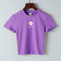 Фиолетовая маленькая ромашка 5