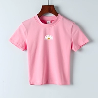 Легкий порошок маленькая ромашка 4