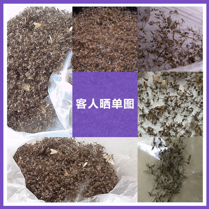 �ϼ��˼������õƹⴥý���������������и�Ӥ����