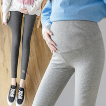 Pregnant pants Autumn wear leggings fashion section spring and autumn fashion mom pure cotton all-in-one thin feet nine-point pants