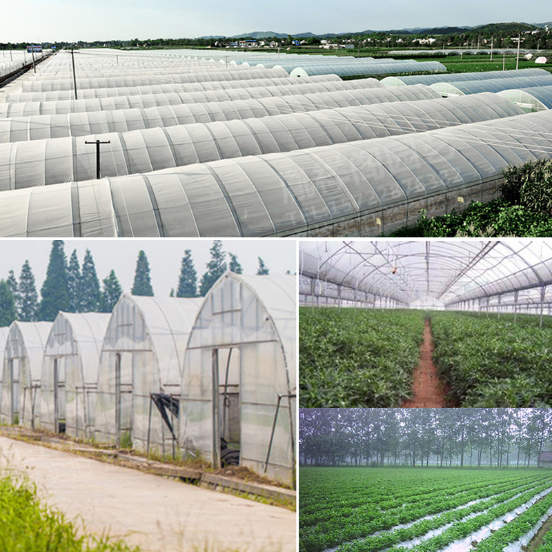 Import No Drop-film Thickening Transparent Plastic Film Greenhouse Film Vegetable Insulation Shed Film Breeding Black & White Film