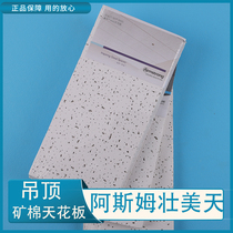 Amms Magnificent Sky W3202 Suck Soundproof Computer Room Office Library Mine Cotton Ceiling Ceiling