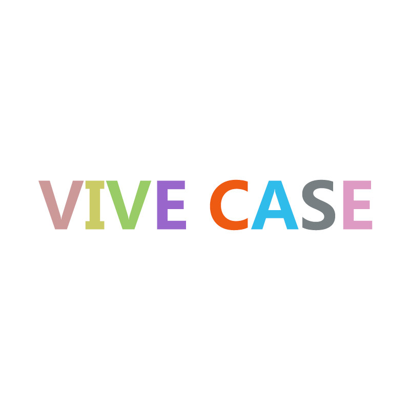 VIVE CASE