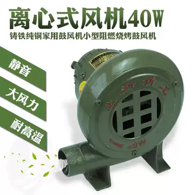 Cast iron pure copper household blower small flame retardant barbecue blower centrifugal fan 40W80W