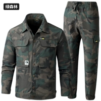 301 Green Forest Grid быстро -упругая эластичная набор