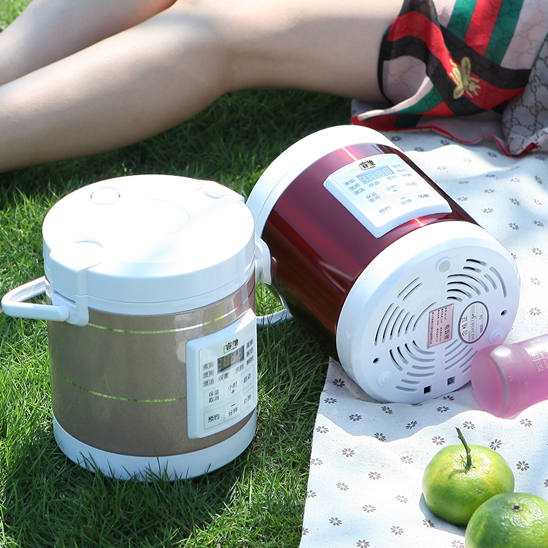 Smart Car Rice Cooker 24V Car Rice Cooker 220V Household Electric Cooker for Large Trucks 1 6L 1-2 People