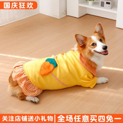 Dog Clothes Winter Warm Corgi Two-Legged Outfit Small and Medium-Sized Dogs Teddy Shiba Inu Spring and Autumn Cute Pet Sweatshirt