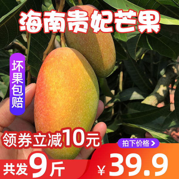 海南贵妃芒果红金龙净重9斤