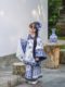 Girls Manchu Chinese Han Dynasty Blue and White Porcelain Qing Dynasty Checkered Skirt Spring and Autumn Qing Han Female Pioneer Grandma Little Princess Skirt