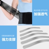 MAI LUAN TAIST  蟠 蟠            霰 霰 霰;