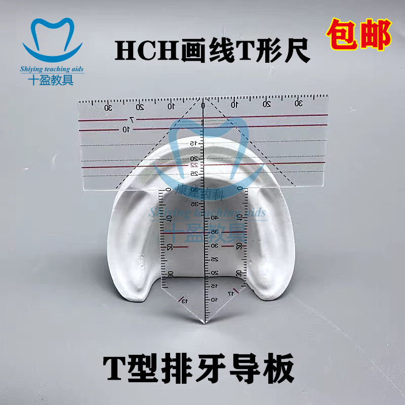 牙科材料 T型排牙导板 口腔排牙尺子中分尺辅助排牙测量工具 包邮