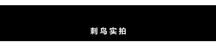 Montures de lunettes en Tole - Ref 3140819 Image 12