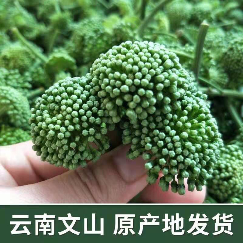 三七花:云南文山的天然馈赠,2024年新花四年花,健康养生必备!🍃-三七-淘宝百科网