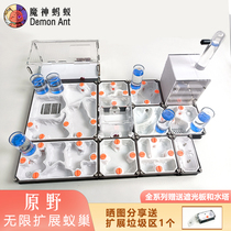 Unlimited expansion of the wilderness bionic ant nest flat ant nest acrylic ant nest 3D printed ant nest ant general mobilization