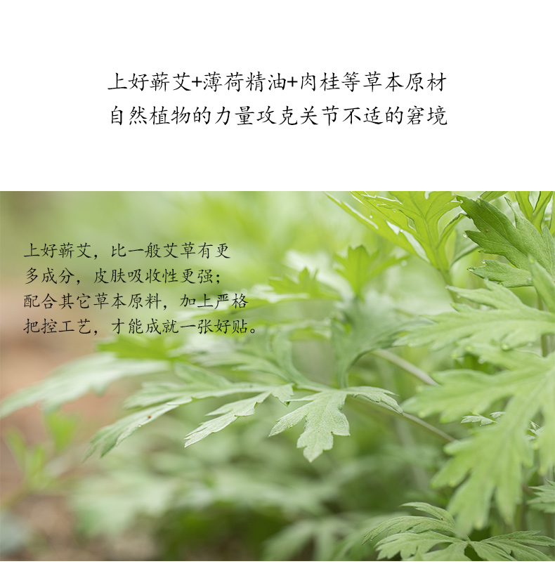 超亚 艾草颈椎贴 24贴*2件 图7