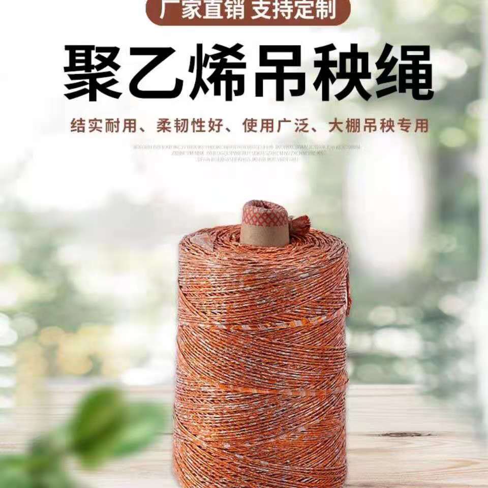 Greenhouse Hoist Rope Golden Rope Binding Rope Melon Guot Rope Polypropylene Rope Strapping Rope Packing Rope Rope Double Strand