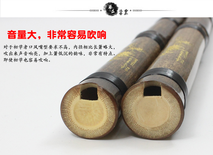 [臻] Một phần của Zizhu ngắn hole lỗ chuyên nghiệp người mới bắt đầu tre cổ Xiao F giai điệu G nhạc cụ ngắn Xiao người mới bắt đầu - Nhạc cụ dân tộc ống sáo