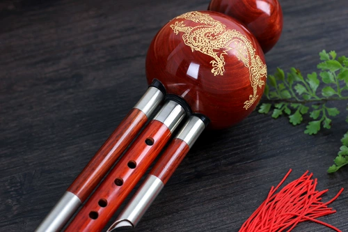 臻品 Тыква шелк пал b Тон c Тон, полный из красной тыквы