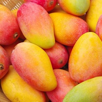 Guangxis Baise and Princess Mans Fresh When Season Fruit Mango теперь можно найти